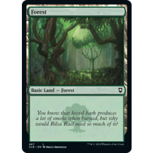 Forest