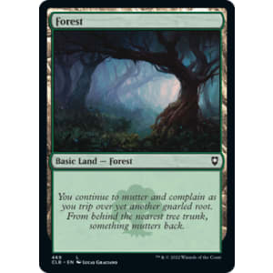 Forest