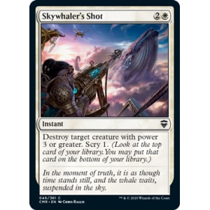 Skywhaler's Shot