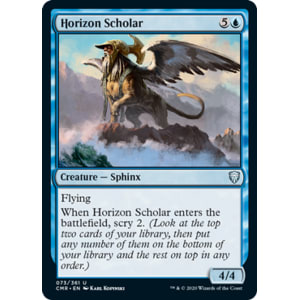 Horizon Scholar