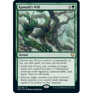 Kamahl's Will