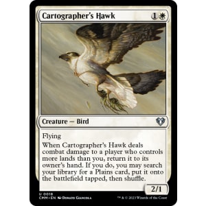 Cartographer's Hawk