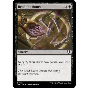 Read the Bones
