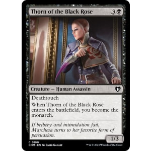 Thorn of the Black Rose