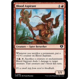 Blood Aspirant