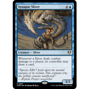 Synapse Sliver