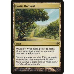 Exotic Orchard