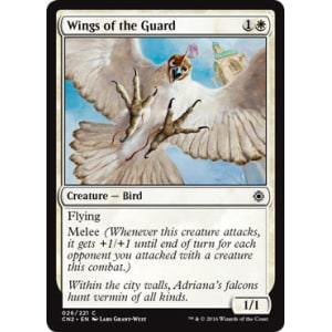 Wings of the Guard