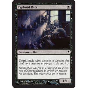 Typhoid Rats