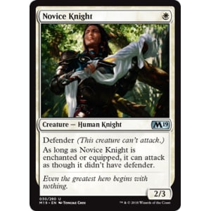 Novice Knight