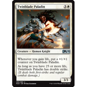 Twinblade Paladin