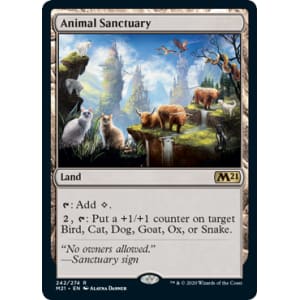 Animal Sanctuary