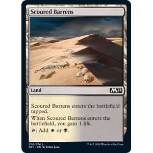 Scoured Barrens