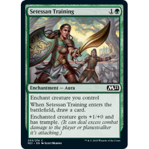 Setessan Training