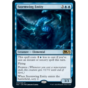 Stormwing Entity
