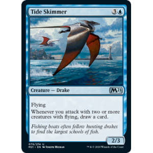 Tide Skimmer