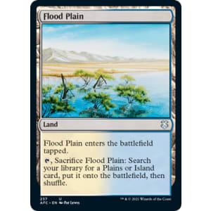 Flood Plain