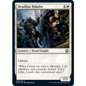 Steadfast Paladin