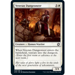 Veteran Dungeoneer