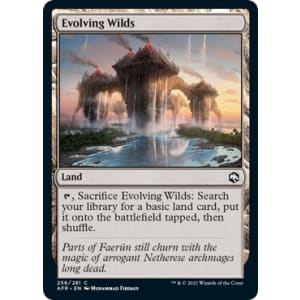 Evolving Wilds