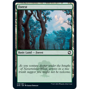 Forest