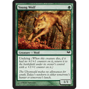 Young Wolf