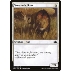 Savannah Lions