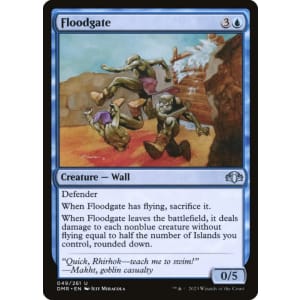 Floodgate