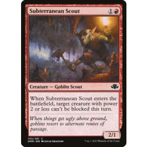 Subterranean Scout