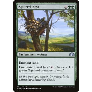 Squirrel Nest
