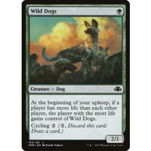 Wild Dogs