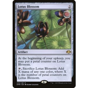 Lotus Blossom