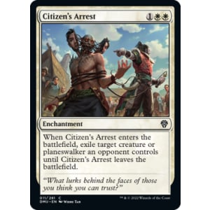 Citizen's Arrest