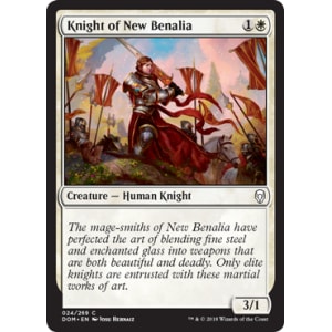 Knight of New Benalia