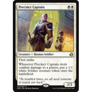 Precinct Captain
