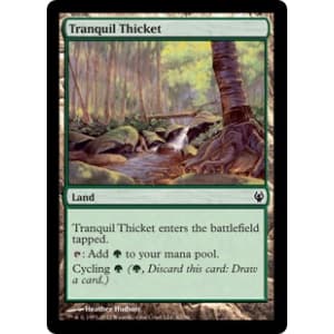 Tranquil Thicket