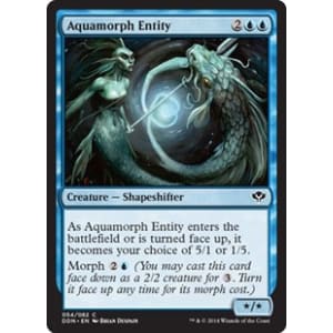 Aquamorph Entity