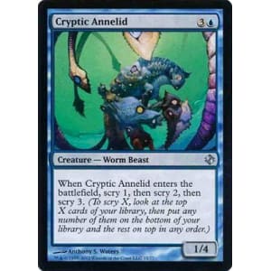 Cryptic Annelid
