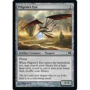 Pilgrim's Eye