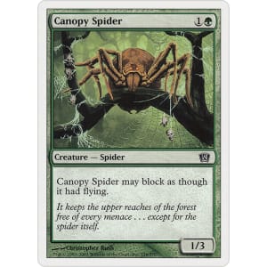 Canopy Spider