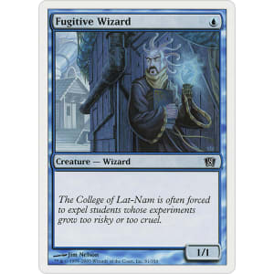 Fugitive Wizard