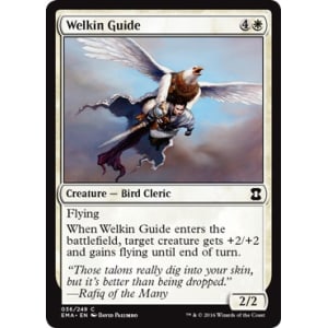 Welkin Guide