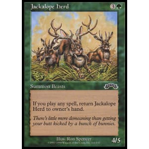 jackalope herd