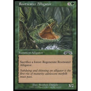 Rootwater Alligator