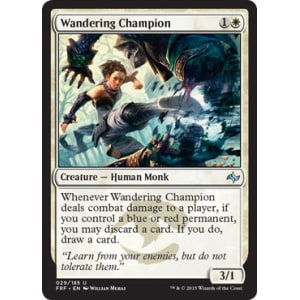 Wandering Champion