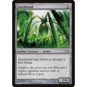 Arachnoid
