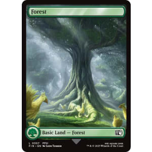 Forest