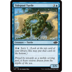 Tidepool Turtle