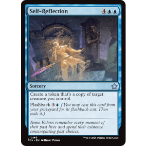 Self-Reflection