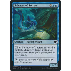 Salvager of Secrets